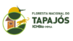 tapajos