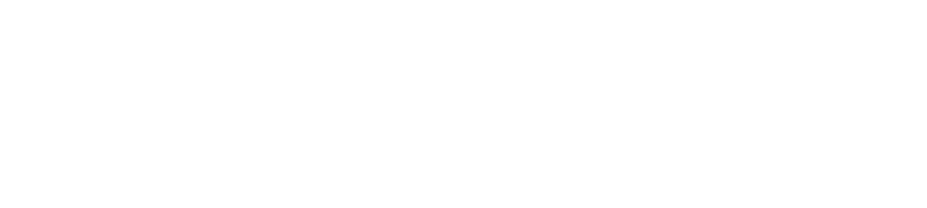 neodent.png