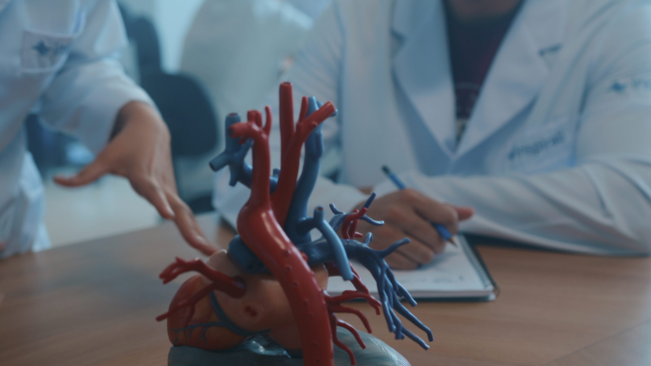 Onda T: Importancia en Electrocardiograma, image size:2560x1440