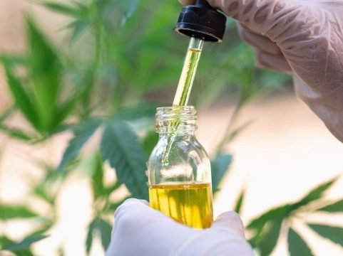 Main-Image-Cannabis-CBD-Oil-e1596744793269
